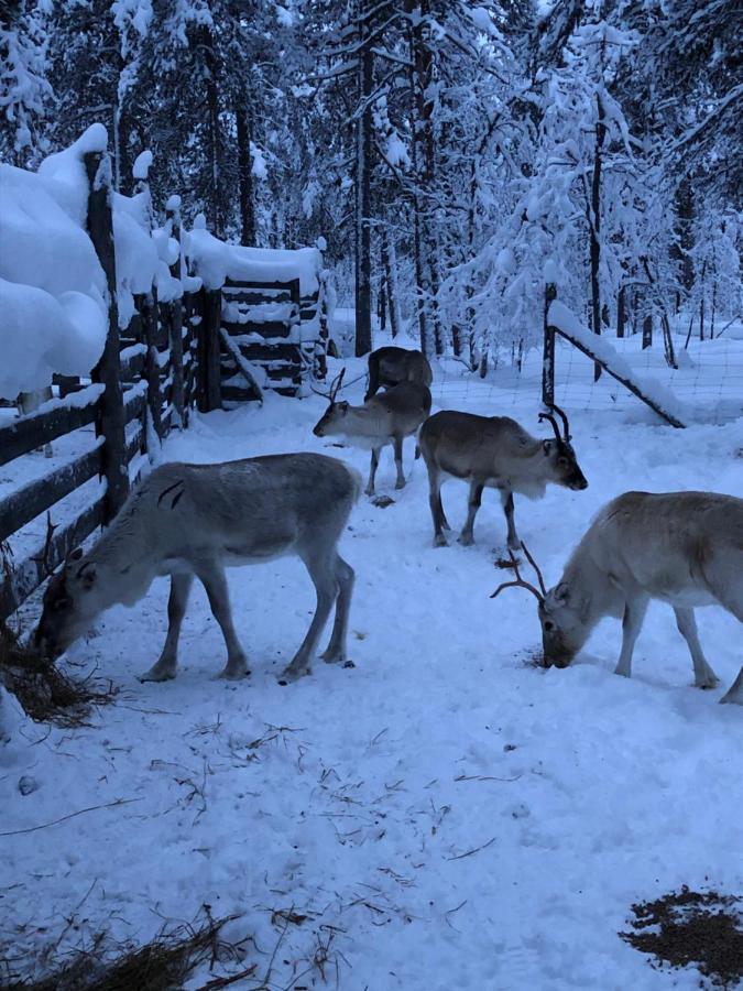 Ahkula House Hotell Lemmenjoki Eksteriør bilde